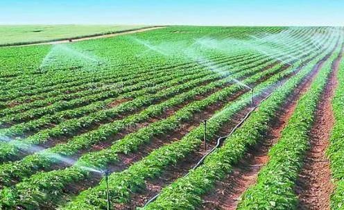 插入美女bb农田高 效节水灌溉